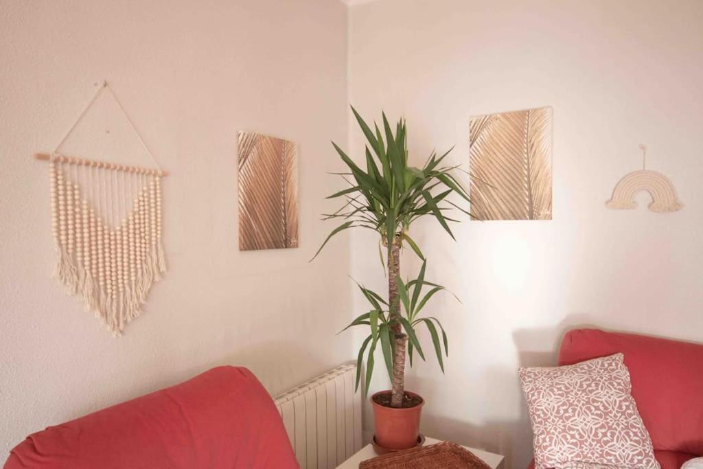 Lc Apartaments Av Del Mar Castellón de la Plana Dış mekan fotoğraf